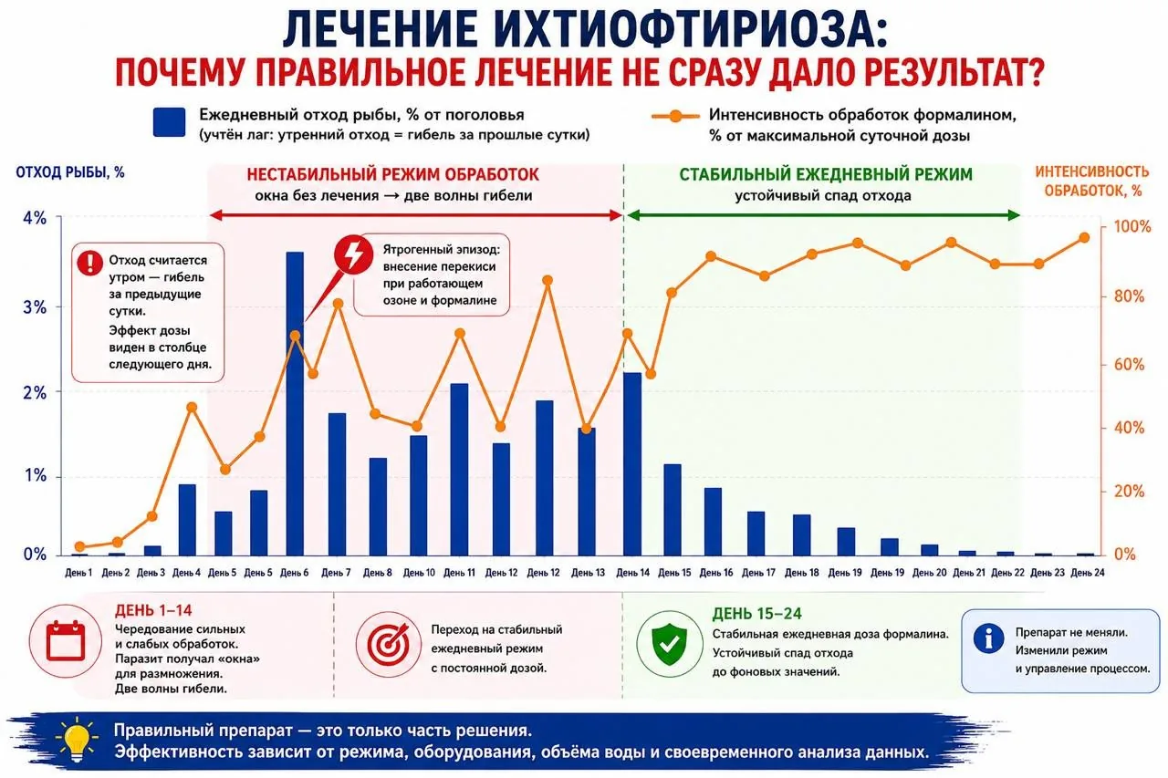 График лечения ихтиофтириоза формалином в УЗВ